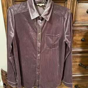 Entro Velvet Button-Up Shirt in Soft Taupe
